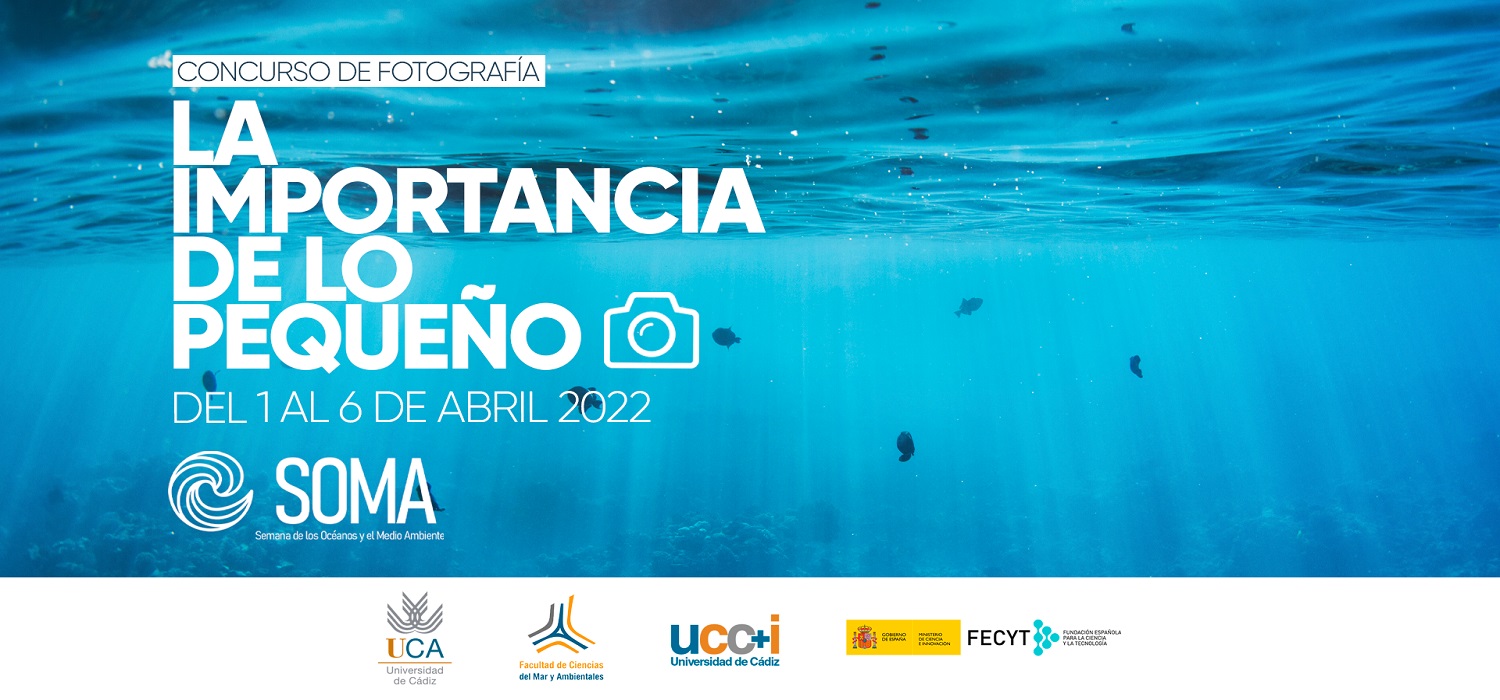 Concurso de Fotografía de la I Semana de los Océanos y el Medio Ambiente